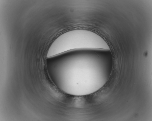 X0000089720275200706210901