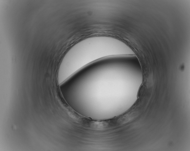X0000089720277200706210901