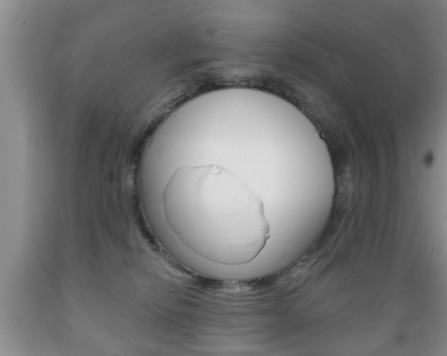 X0000089720278200706210901