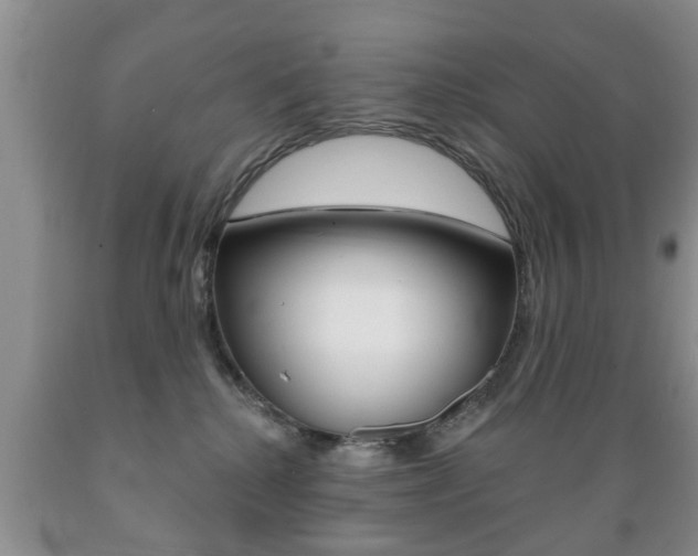 X0000089720280200706210901