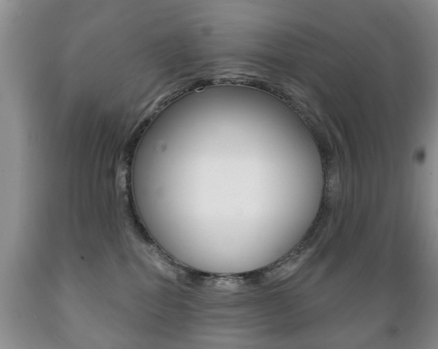 X0000089720282200706210901