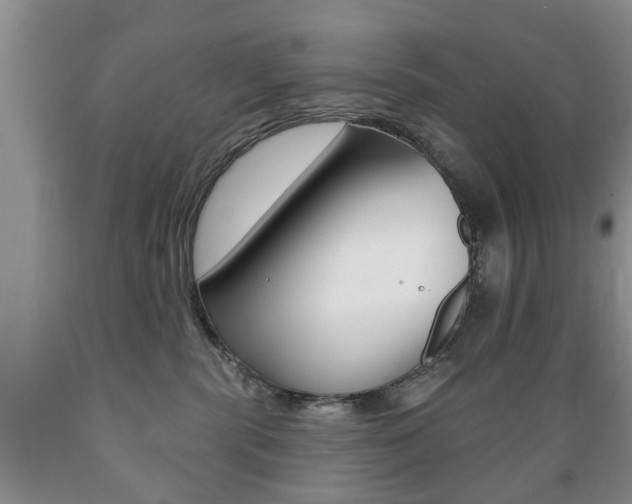X0000089720283200706210901