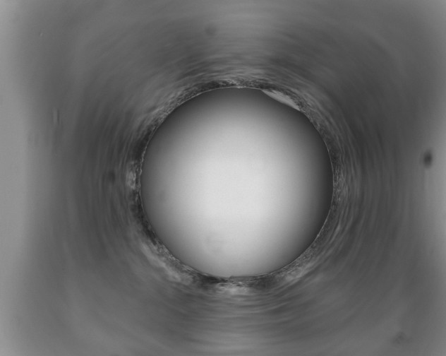 X0000089720284200706210901
