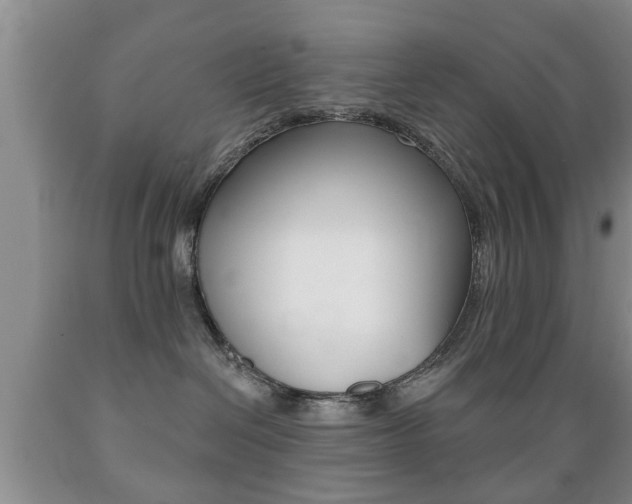 X0000089720286200706210901