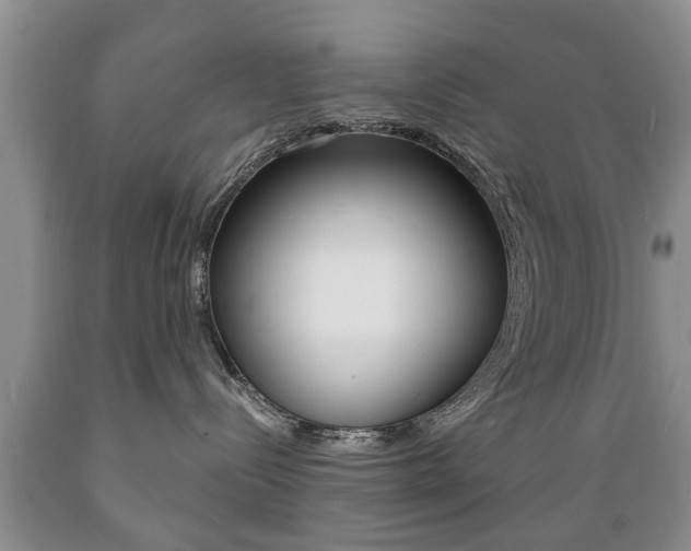 X0000089720288200706210901