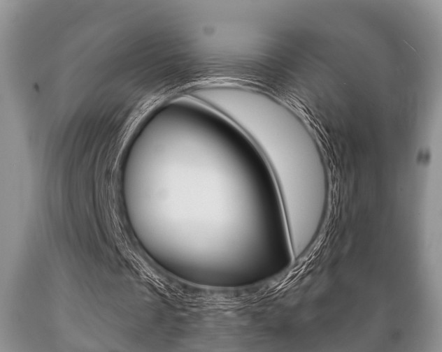 X0000089720289200706210900