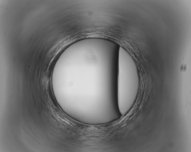 X0000089720290200706210900