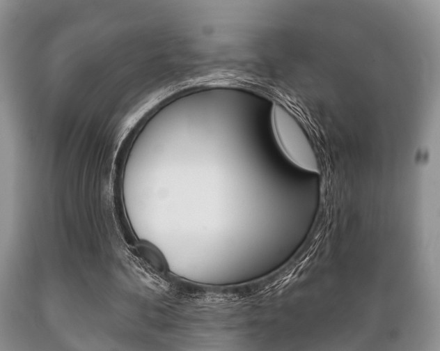 X0000089720292200706210900