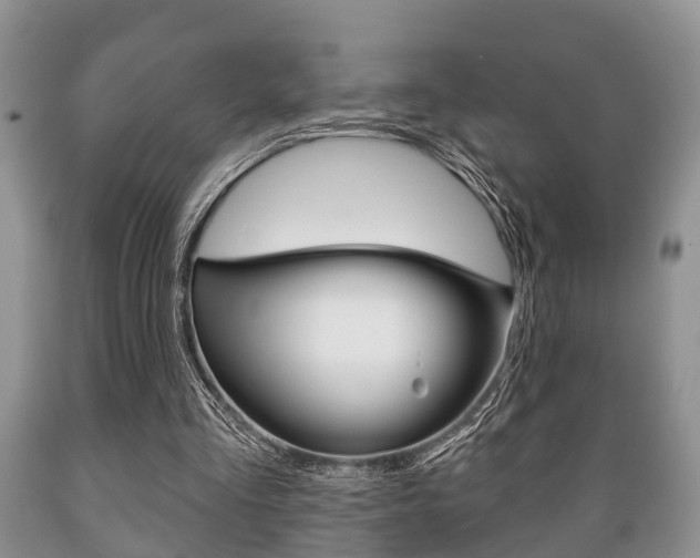 X0000089720293200706210900