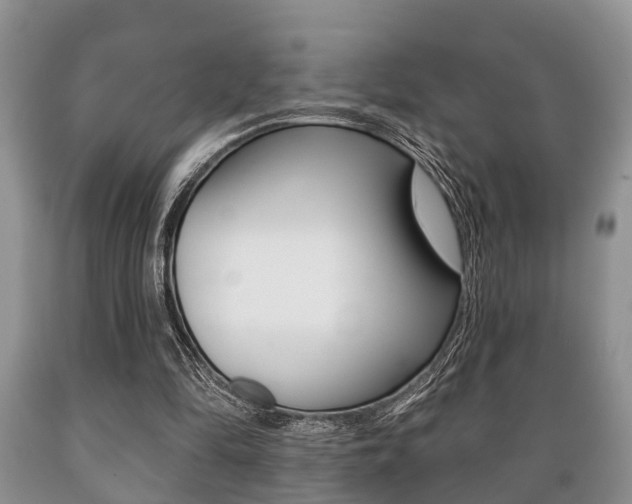 X0000089720294200706210900