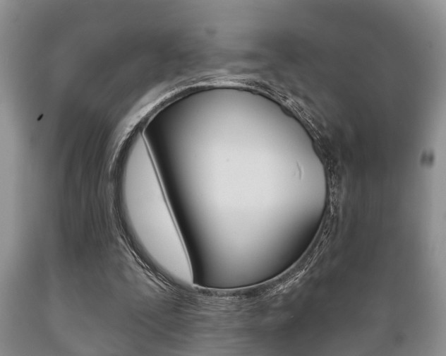 X0000089720295200706210900