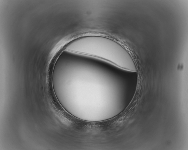 X0000089720296200706210900