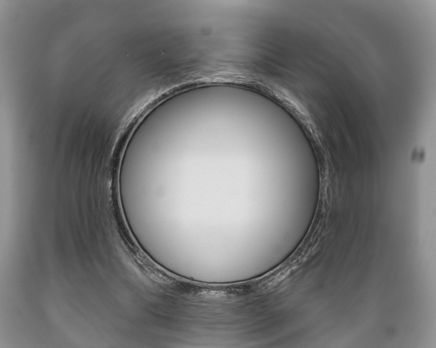 X0000089720298200706210900