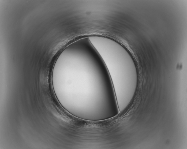 X0000089720299200706210900