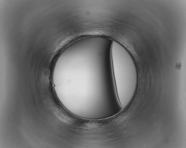X0000089720300200706210900