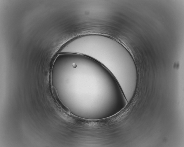 X0000089720301200706210900