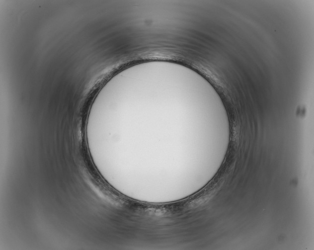 X0000089720302200706210900
