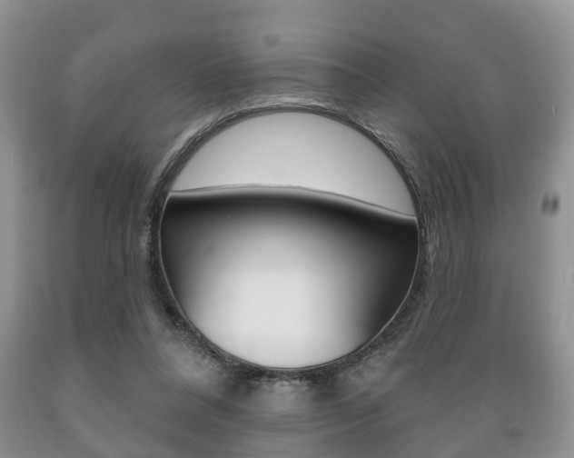 X0000089720304200706210900