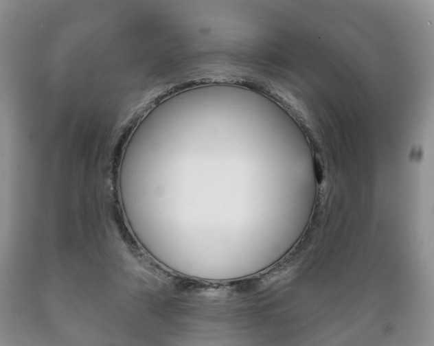 X0000089720306200706210900