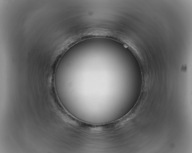 X0000089720309200706210900