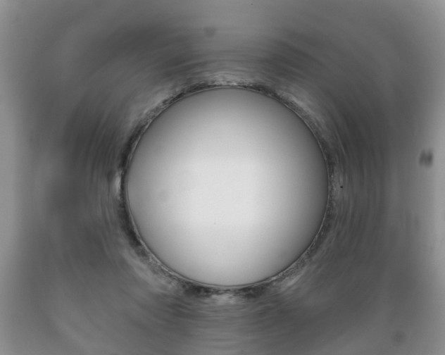 X0000089720310200706210900