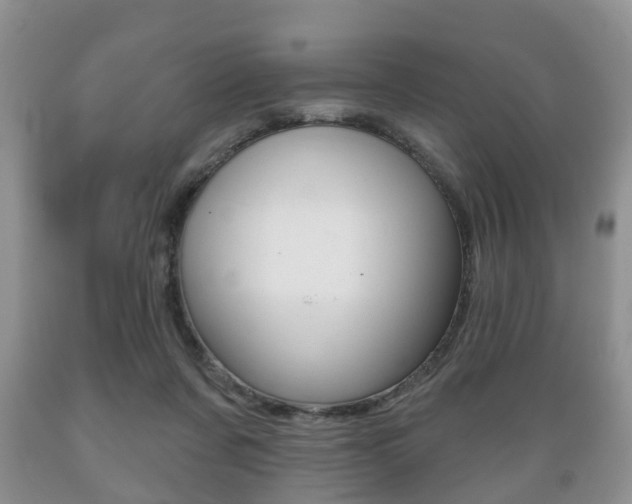 X0000089720311200706210900