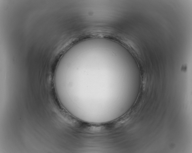 X0000089720314200706210900