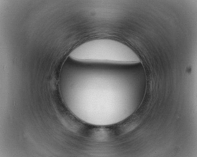 X0000089720316200706210859