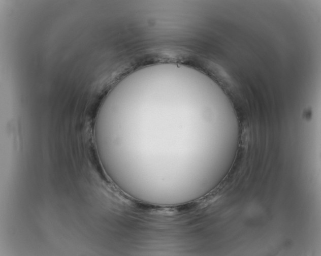 X0000089720318200706210859