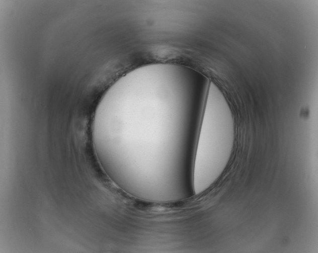 X0000089720319200706210859