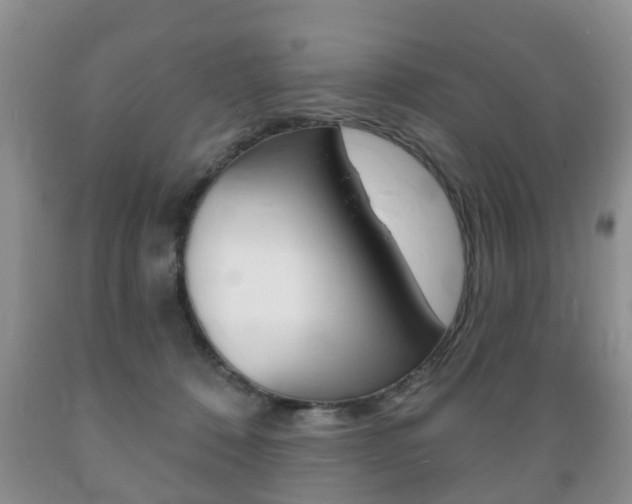 X0000089720320200706210859