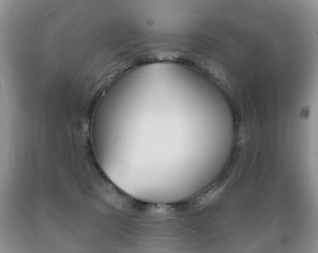X0000089720321200706210859