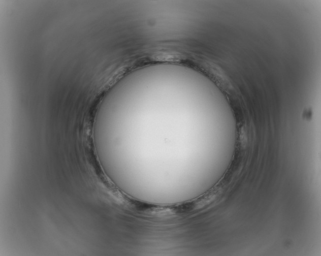 X0000089720322200706210859