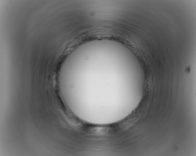 X0000089720323200706210859
