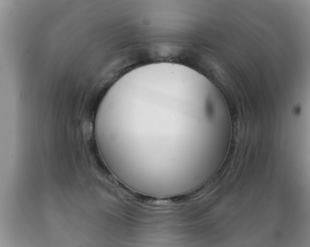 X0000089720324200706210859