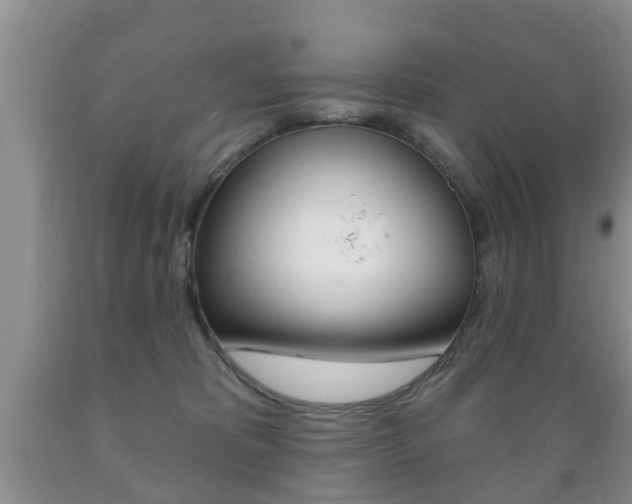 X0000089720325200706210859