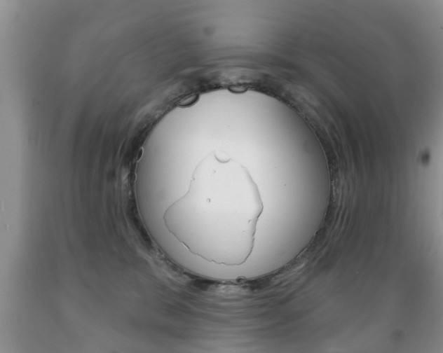 X0000089720327200706210859