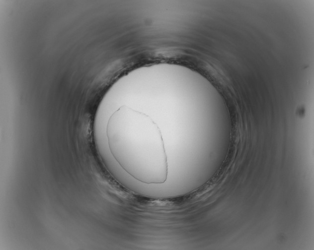 X0000089720328200706210859
