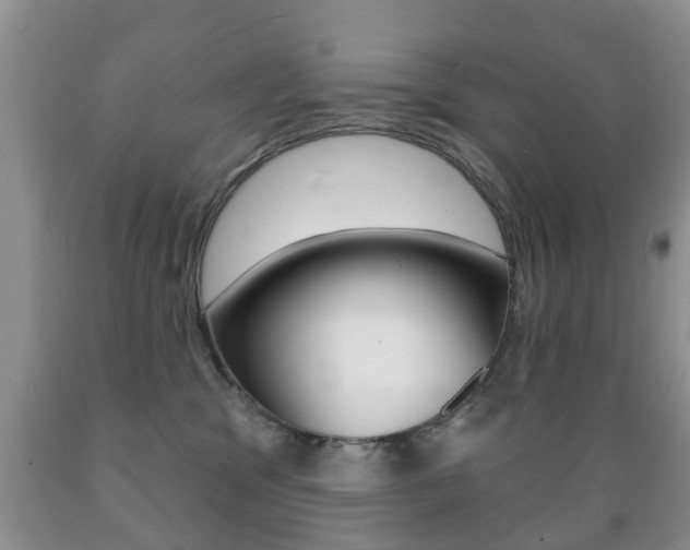 X0000089720329200706210859
