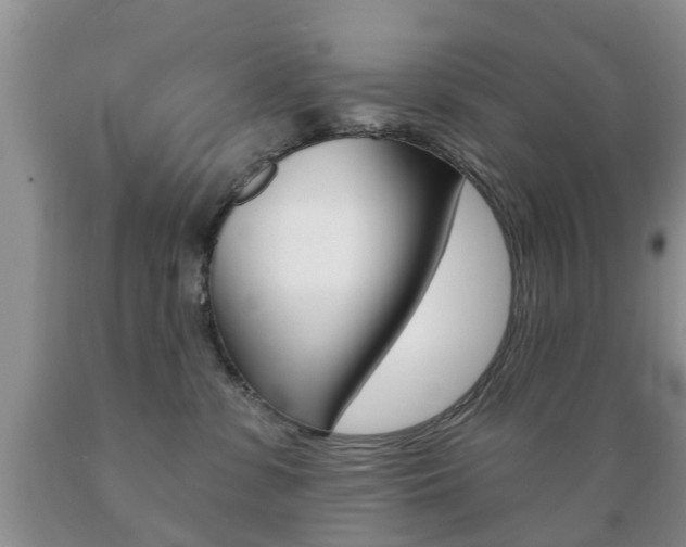 X0000089720331200706210859