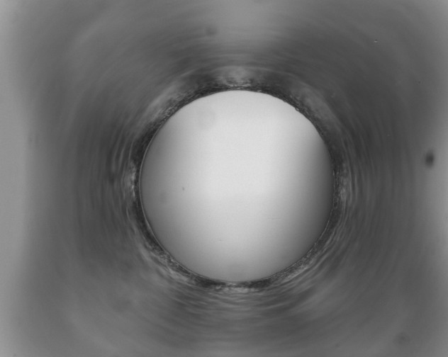 X0000089720332200706210859