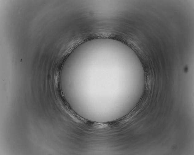 X0000089720334200706210859