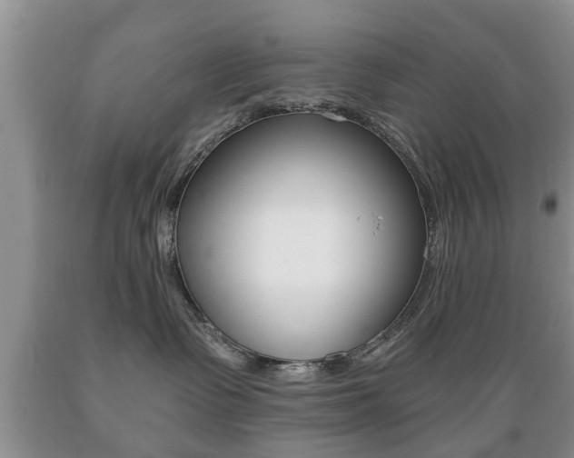 X0000089720335200706210859