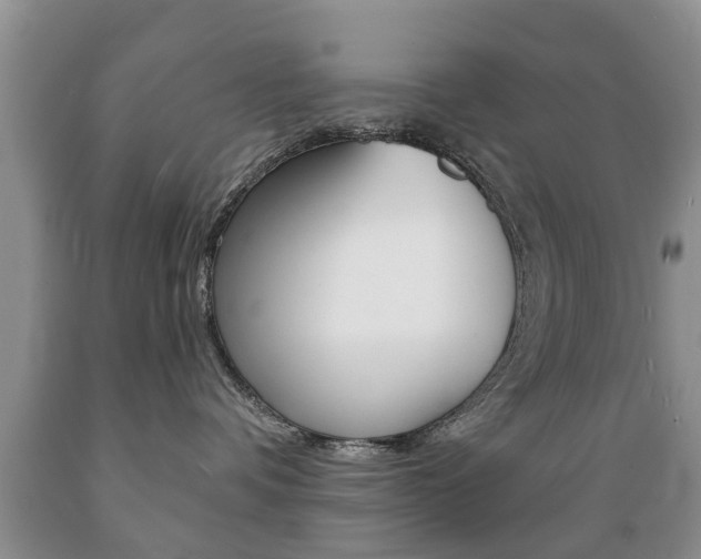 X0000089720336200706210859