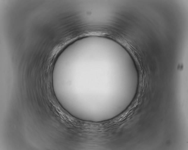 X0000089720337200706210859