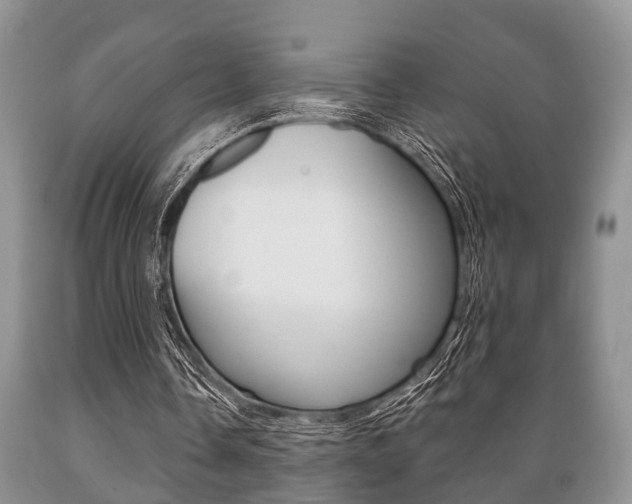 X0000089720338200706210859