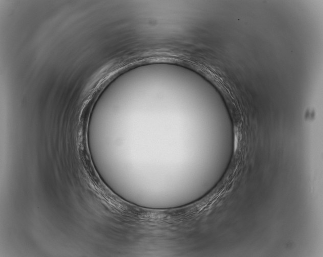 X0000089720339200706210859