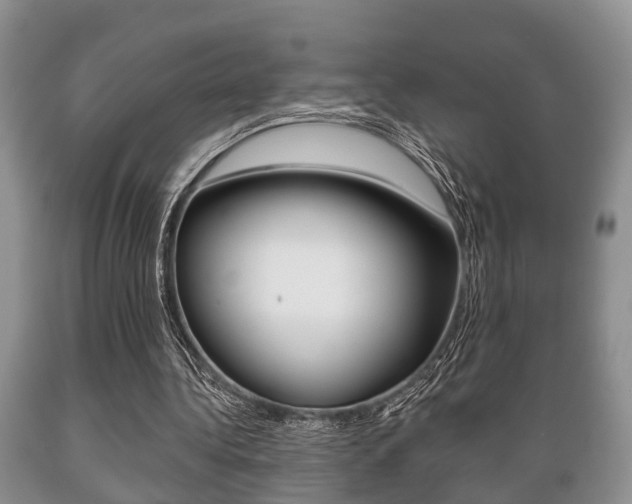 X0000089720340200706210859