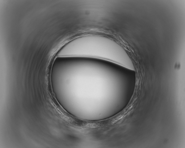 X0000089720341200706210859