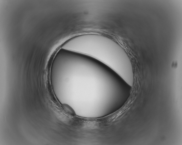 X0000089720342200706210859